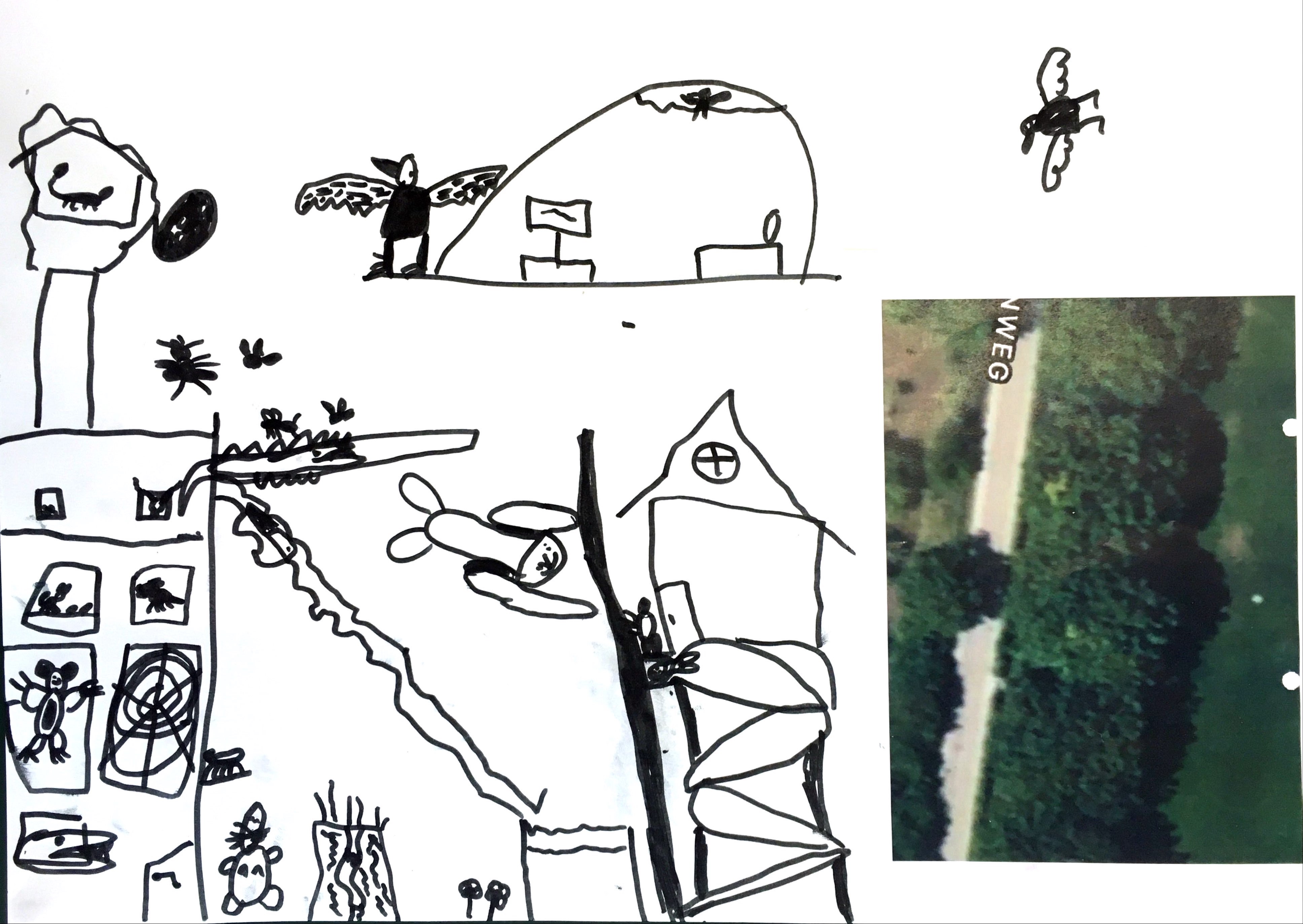 Collage_Haus_fuer_Tiere.jpg